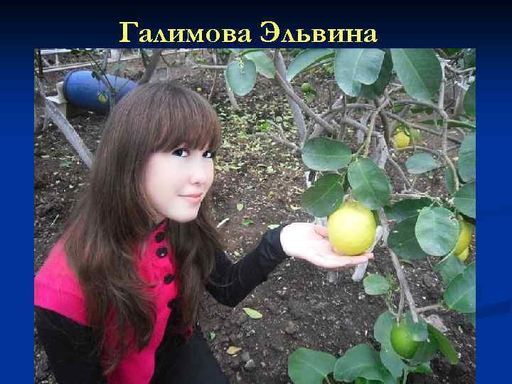Галимова Эльвина 
