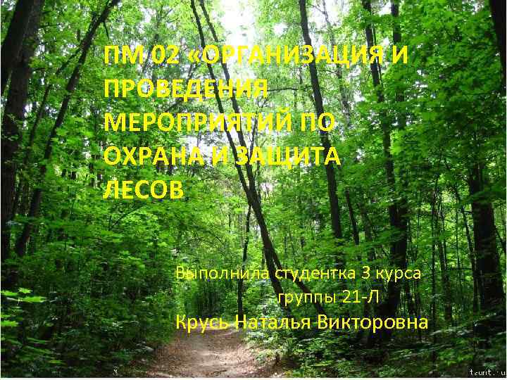 ПМ 02 «ОРГАНИЗАЦИЯ И ПРОВЕДЕНИЯ МЕРОПРИЯТИЙ ПО ОХРАНА И ЗАЩИТА ЛЕСОВ Выполнила студентка 3