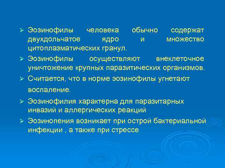 Эозинофилы человека обычно содержат двухдольчатое ядро и множество цитоплазматических гранул. Ø Эозинофилы осуществляют внеклеточное