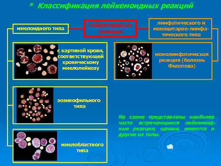 * Классификация лейкемоидных реакций миелоидного типа лейкемоидные реакции с картиной крови, соответствующей хроническому миелолейкозу