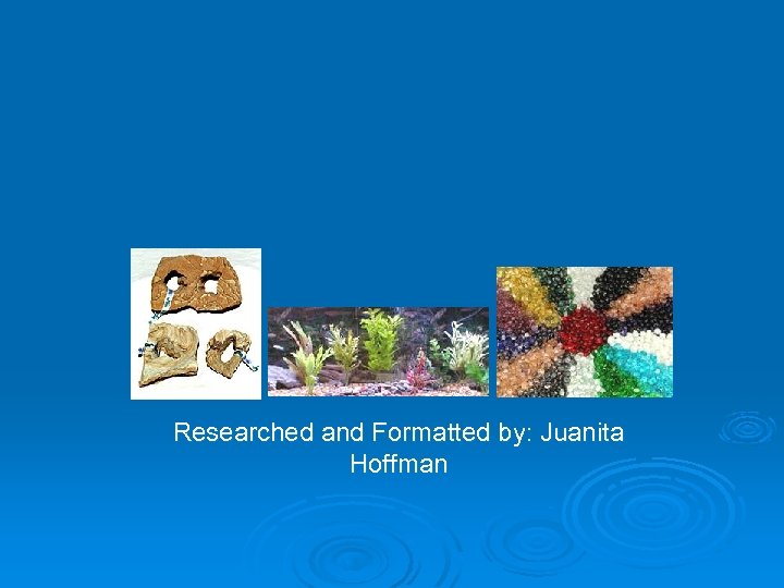 Researched and Formatted by: Juanita Hoffman 
