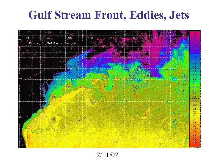 Gulf Stream Front, Eddies, Jets 2/11/02 