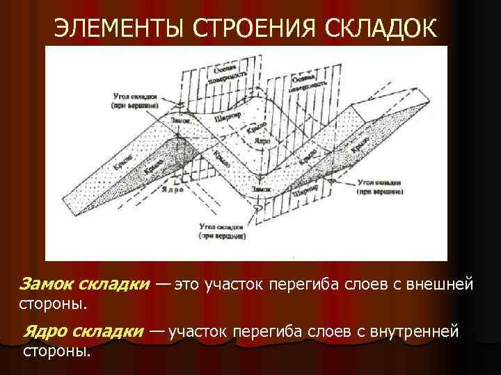 ЭЛЕМЕНТЫ СТРОЕНИЯ СКЛАДОК Замок складки — это участок перегиба слоев с внешней стороны. Ядро