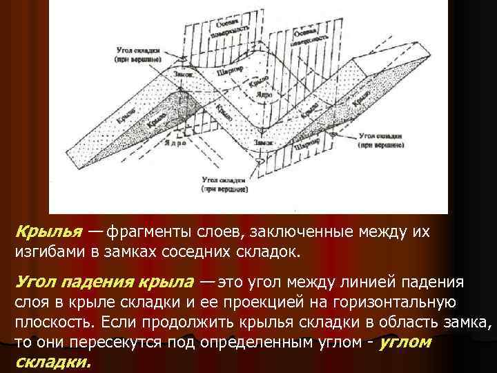 Крылья — фрагменты слоев, заключенные между их изгибами в замках соседних складок. Угол падения