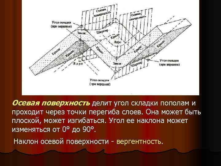 Строение складок. Осевая поверхность складки. Пликативные деформации. Вергентность складок. Вергентность в геологии.