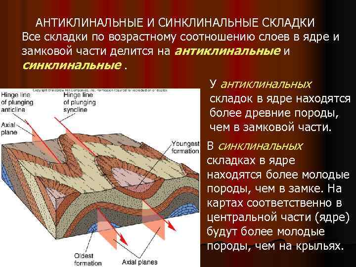 АНТИКЛИНАЛЬНЫЕ И СИНКЛИНАЛЬНЫЕ СКЛАДКИ Все складки по возрастному соотношению слоев в ядре и замковой