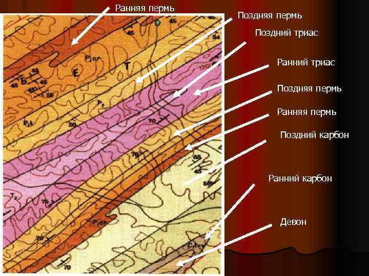 Ранняя пермь Поздний триас Ранний триас Поздняя пермь Ранняя пермь Поздний карбон Ранний карбон