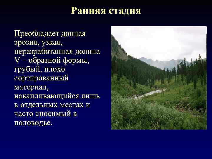 Ранняя стадия Преобладает донная эрозия, узкая, неразработанная долина V – образной формы, грубый, плохо