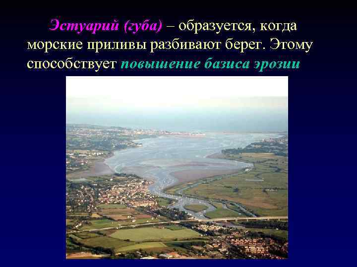 Эстуарий (губа) – образуется, когда морские приливы разбивают берег. Этому способствует повышение базиса эрозии