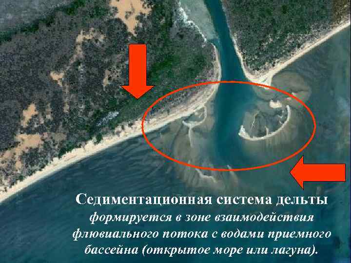 Седиментационная система дельты формируется в зоне взаимодействия флювиального потока с водами приемного бассейна (открытое