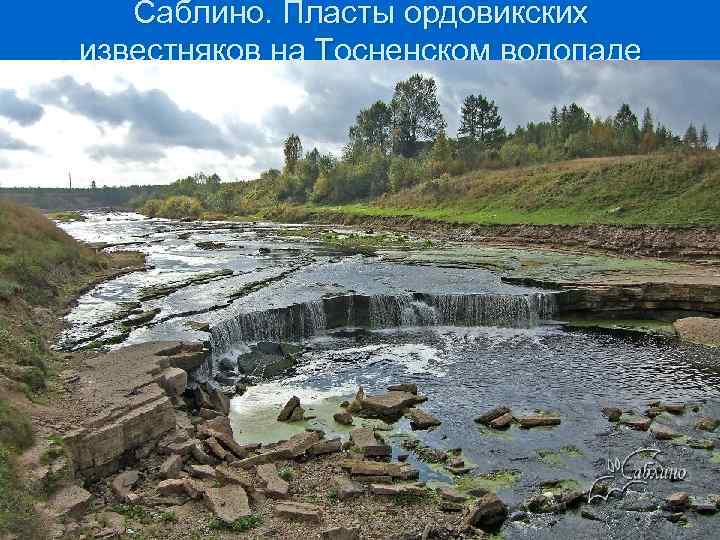 Саблино. Пласты ордовикских известняков на Тосненском водопаде 