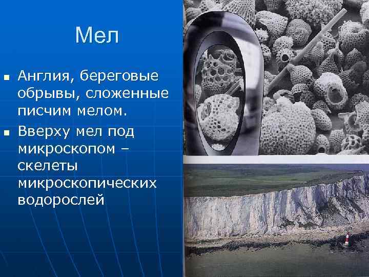 Мел n n Англия, береговые обрывы, сложенные писчим мелом. Вверху мел под микроскопом –