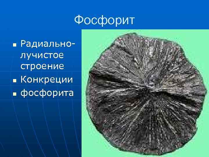 Фосфорит. Конкреция фосфорита. Желваковый Фосфорит. Лучистый Колчедан конкреции. Радиально-лучистое строение конкреции фосфорита.