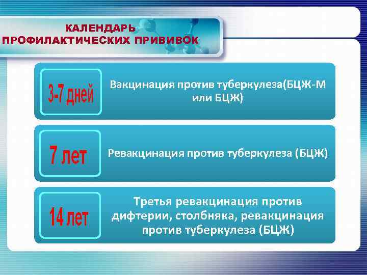 Вакцинация против туберкулеза. Схема вакцинации против туберкулеза. Календарь прививок от туберкулеза. Сроки первичной вакцинации против туберкулеза. Вакцинация туберкулеза схема.