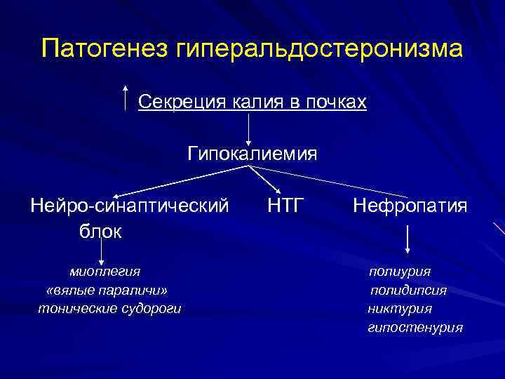 Патогенез гиперальдостеронизма Секреция калия в почках Гипокалиемия Нейро-синаптический блок миоплегия «вялые параличи» тонические судороги