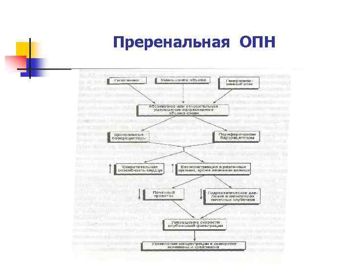 Преренальная ОПН 