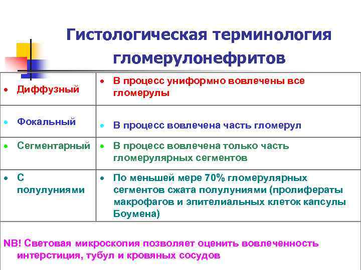 Гистологическая терминология гломерулонефритов Диффузный В процесс униформно вовлечены все гломерулы Фокальный В процесс вовлечена