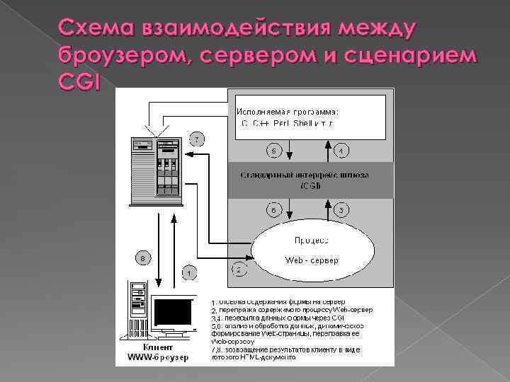 Схема взаимодействия между броузером, сервером и сценарием CGI 