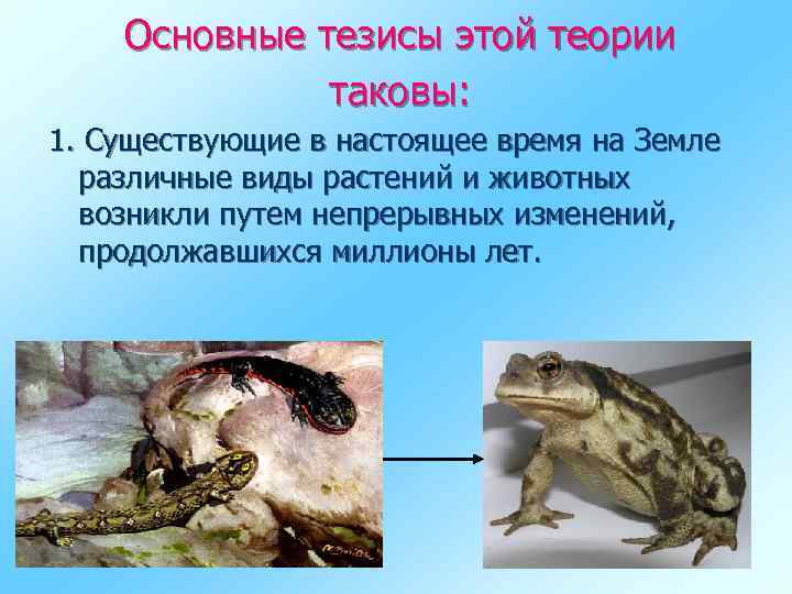 Основные тезисы этой теории таковы: 1. Существующие в настоящее время на Земле различные виды