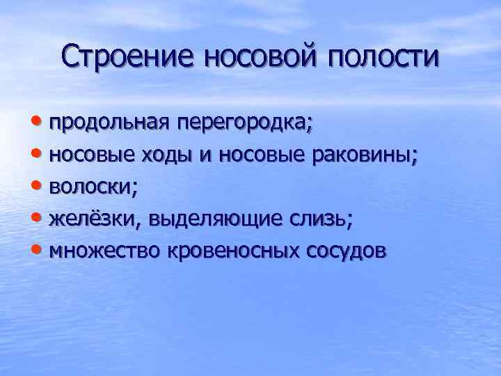 Строение носовой полости • продольная перегородка; • носовые ходы и носовые раковины; • волоски;