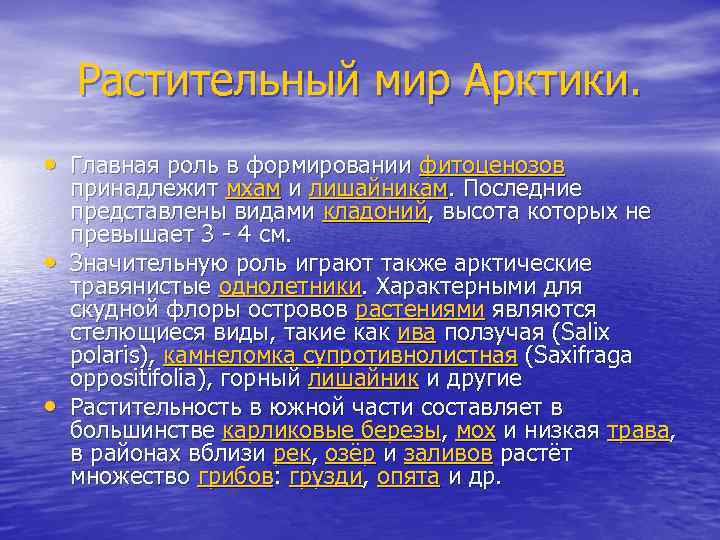 Растительный мир Арктики. • Главная роль в формировании фитоценозов • • принадлежит мхам и