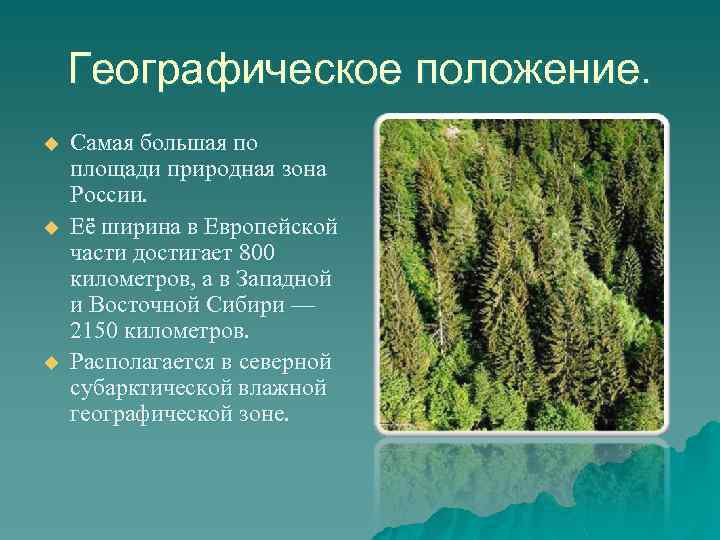 Географическое положение. u u u Самая большая по площади природная зона России. Её ширина