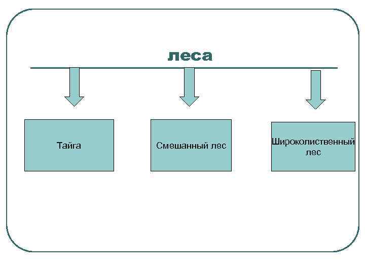 леса Тайга Смешанный лес Широколиственный лес 