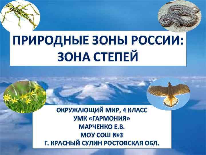 ПРИРОДНЫЕ ЗОНЫ РОССИИ: ЗОНА СТЕПЕЙ ОКРУЖАЮЩИЙ МИР, 4 КЛАСС УМК «ГАРМОНИЯ» МАРЧЕНКО Е. В.