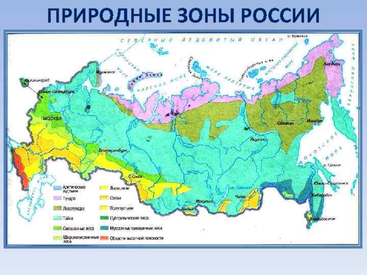 ПРИРОДНЫЕ ЗОНЫ РОССИИ 