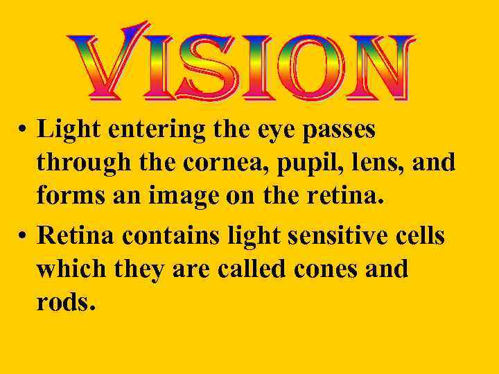  • Light entering the eye passes through the cornea, pupil, lens, and forms