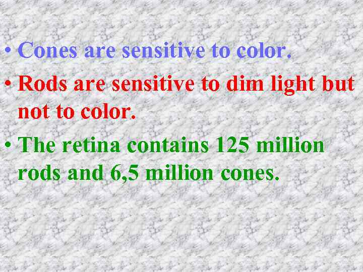  • Cones are sensitive to color. • Rods are sensitive to dim light