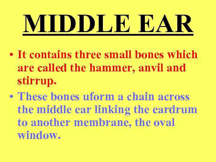 MIDDLE EAR • It contains three small bones which are called the hammer, anvil