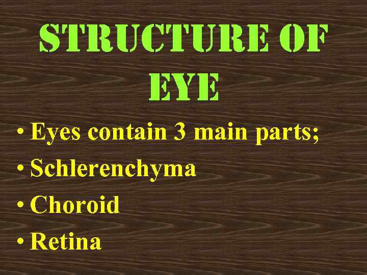 STRUCTURE OF EYE • Eyes contain 3 main parts; • Schlerenchyma • Choroid •
