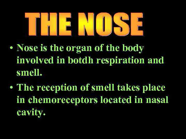  • Nose is the organ of the body involved in botdh respiration and