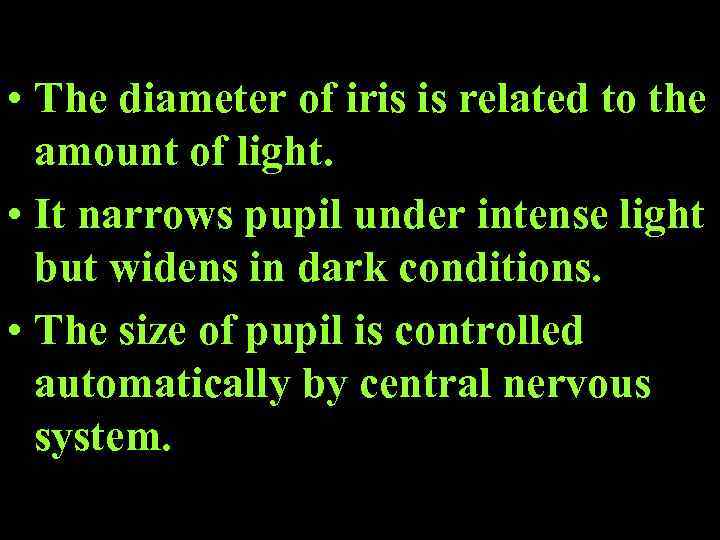  • The diameter of iris is related to the amount of light. •