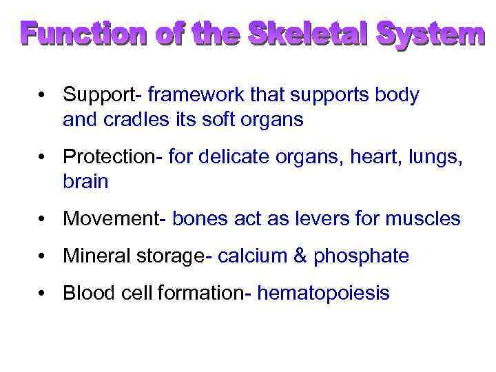  • Support- framework that supports body and cradles its soft organs • Protection-