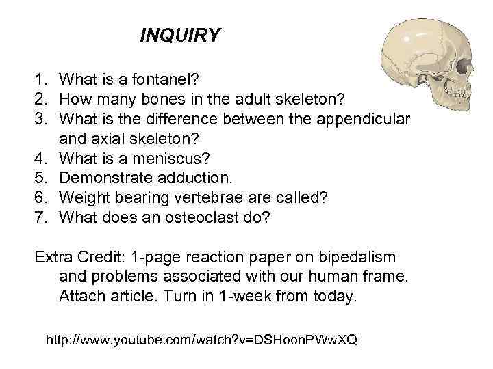INQUIRY 1. What is a fontanel? 2. How many bones in the adult skeleton?