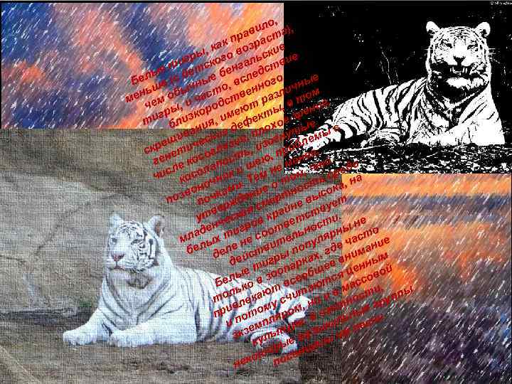 , ило а), в пра раст к , ка о воз ские ы игр