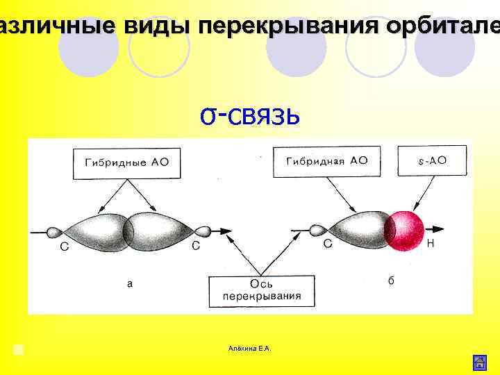 азличные виды перекрывания орбитале σ связь Алёхина Е. А. 