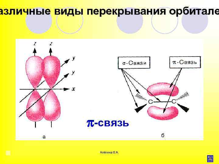 азличные виды перекрывания орбитале π-связь Алёхина Е. А. 