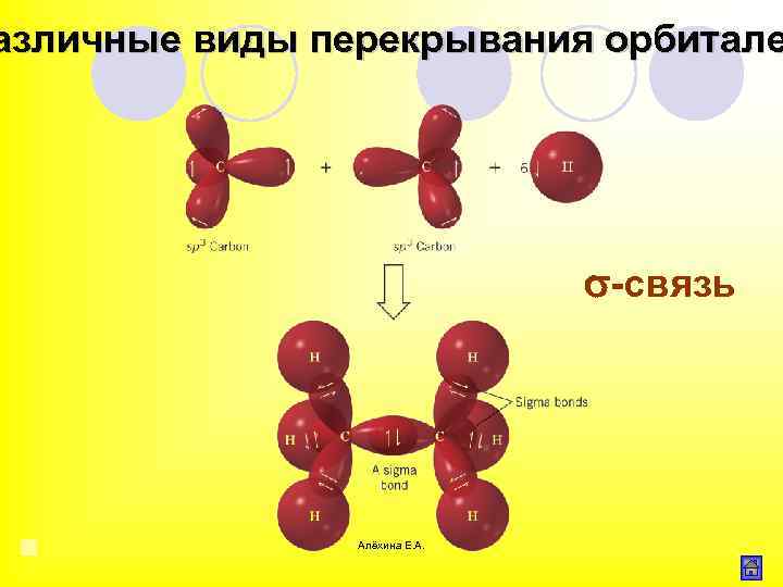 азличные виды перекрывания орбитале -связь Алёхина Е. А. 