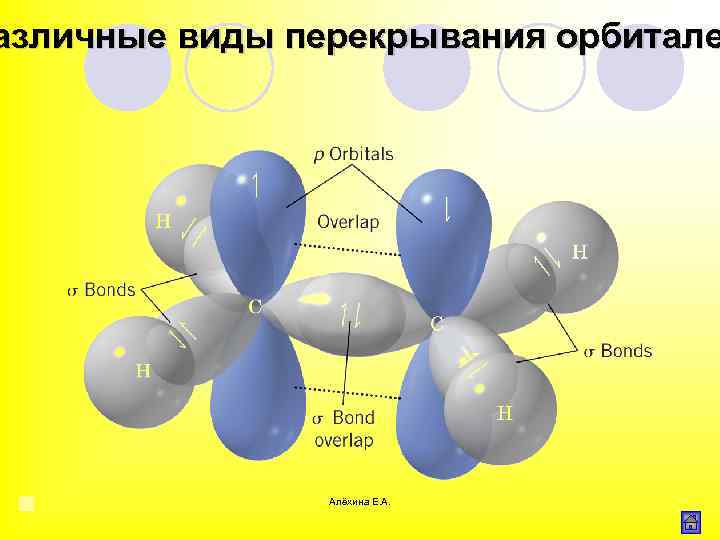 азличные виды перекрывания орбитале Алёхина Е. А. 