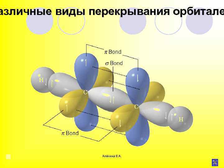 азличные виды перекрывания орбитале Алёхина Е. А. 