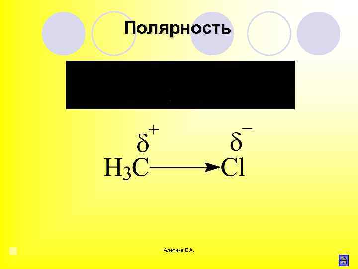 Полярность Алёхина Е. А. 