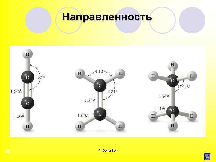 Направленность Алёхина Е. А. 