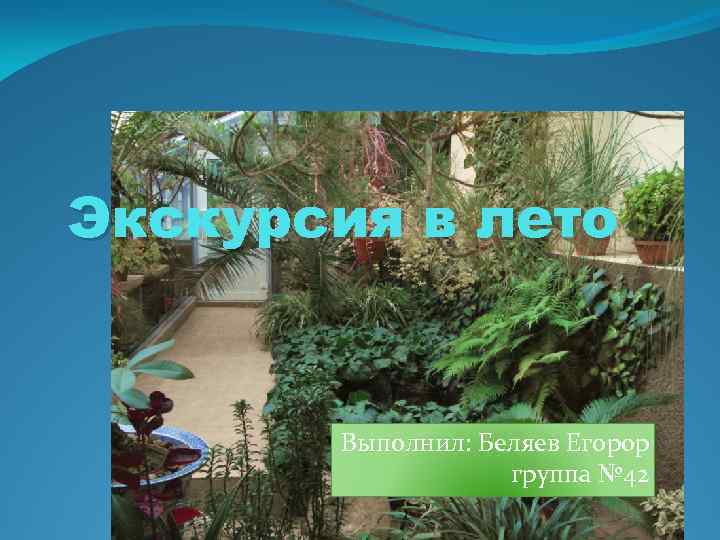 Экскурсия в лето Выполнил: Беляев Егорop группа № 42 