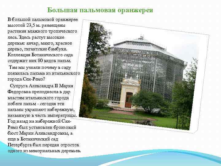 Большая пальмовая оранжерея В большой пальмовой оранжерее высотой 23, 5 м. размещены растения влажного