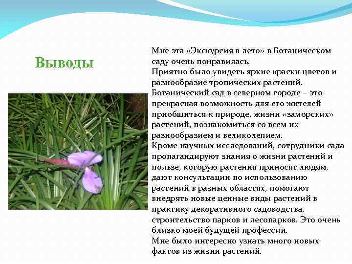 Выводы Мне эта «Экскурсия в лето» в Ботаническом саду очень понравилась. Приятно было увидеть