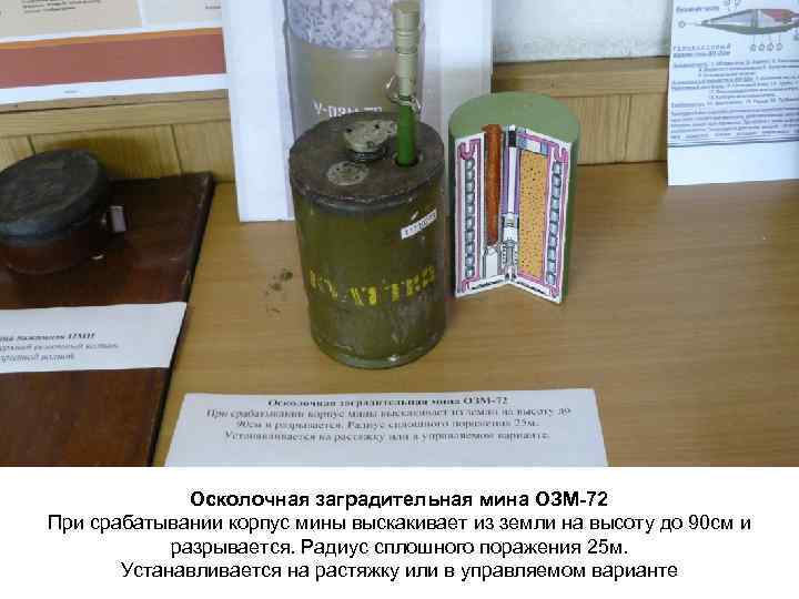 Осколочная заградительная мина ОЗМ-72 При срабатывании корпус мины выскакивает из земли на высоту до