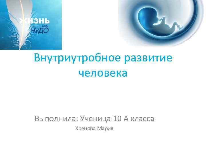 Внутриутробное развитие человека Выполнила: Ученица 10 А класса Хренова Мария 